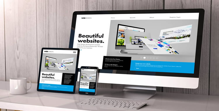 Why-Cibernets-Is-the-Professional-Website-Design-Company-Your-Business-Needs