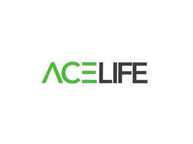 Cibernets Web Design Client – ACELIFE Building Materials Trading LLC