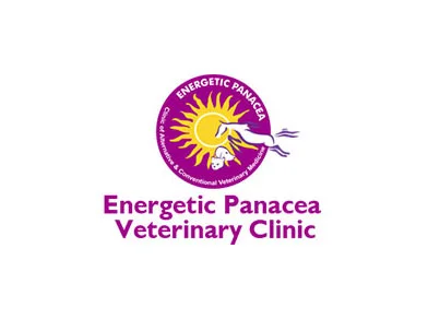 Cibernets Web Design Client – Energetic Panacea